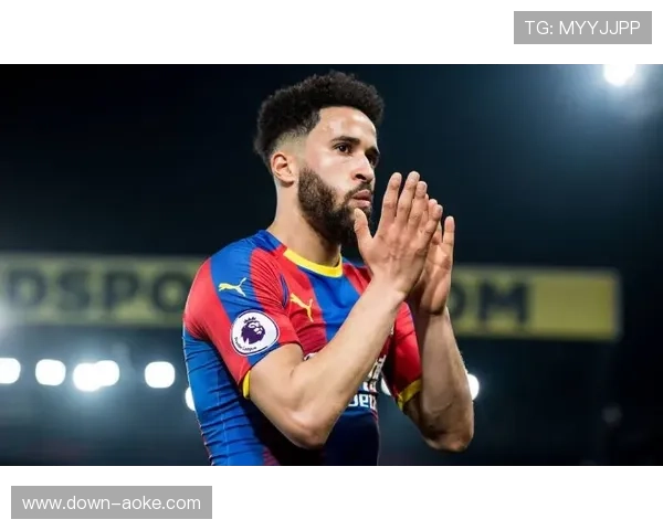 水晶宫对阵狼队：霍奇森球队主场四连胜，狼队盼首胜